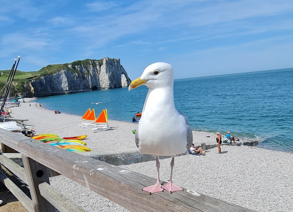 Descubre qué ver en Étretat: los acantilados blancos de Normandía, la Porte d’Aval, la Aguja, las leyendas de Arsenio Lupin y consejos prácticos para planificar tu visita.