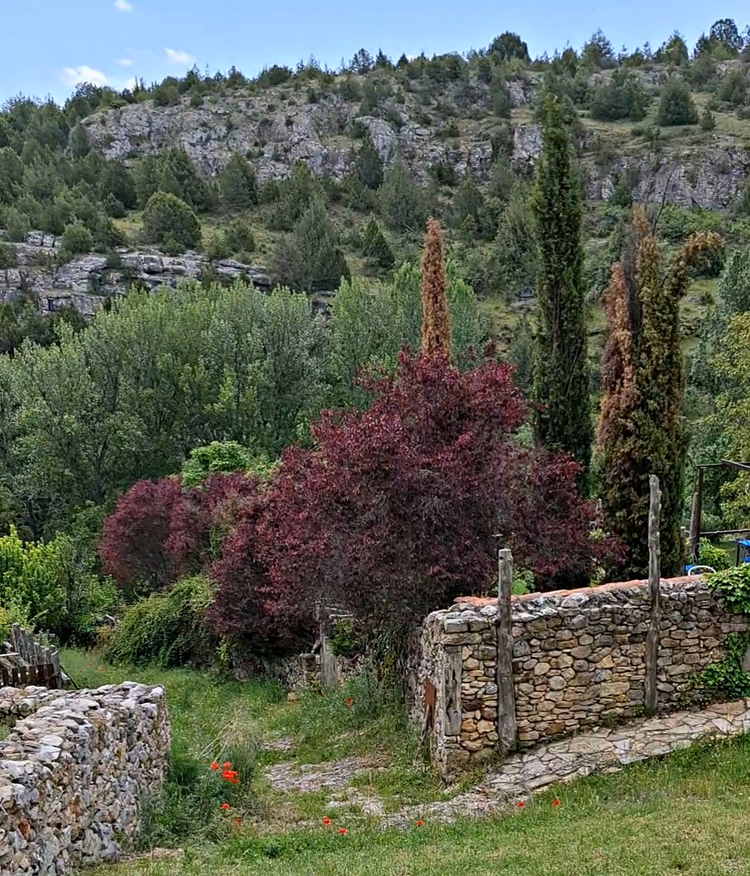 Qué ver en Calatañazor: donde la historia se detuvo entre murallas y leyendas