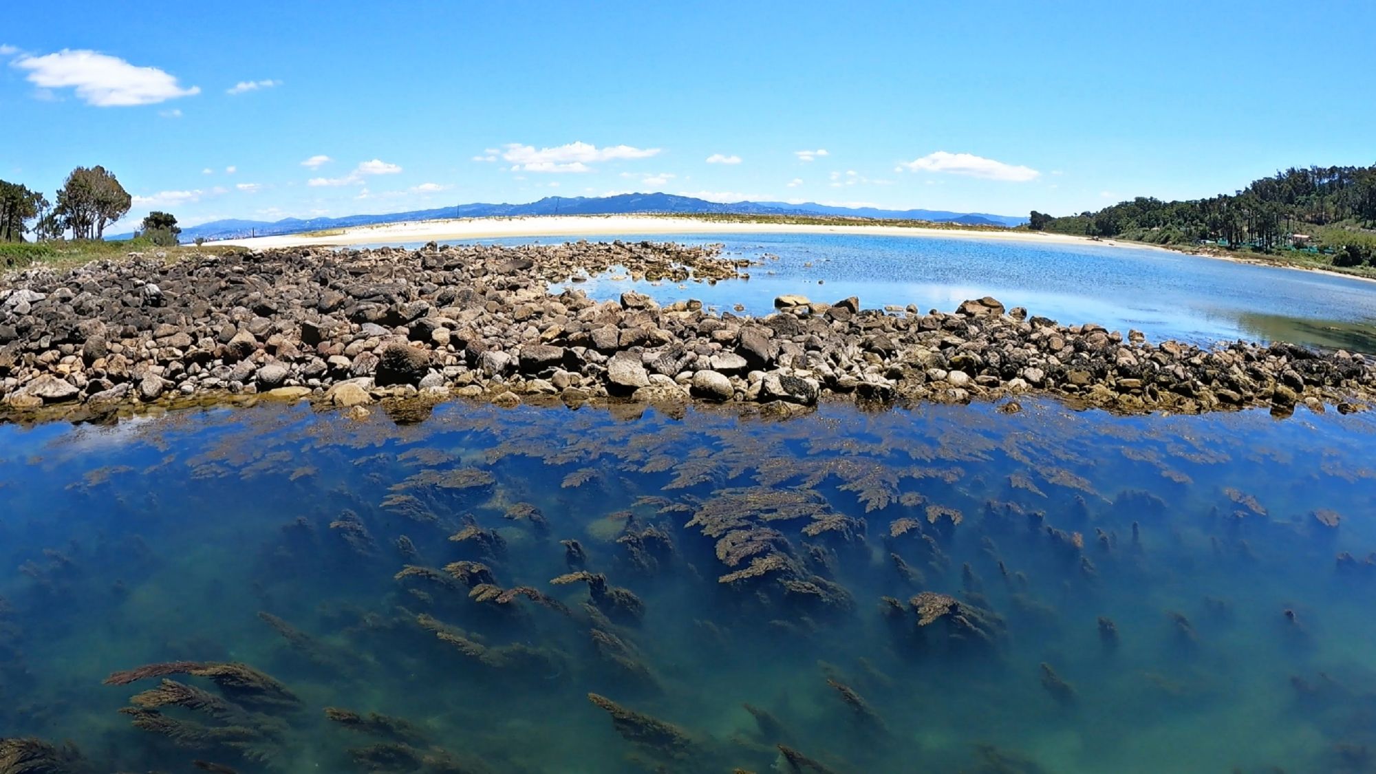 Qué ver y hacer en las Islas Cíes.Si alguna vez has soñado con viajar a un rincón del mundo donde la naturaleza sigue siendo la protagonista, las Islas Cíes son el destino perfecto. Ubicadas en la ría de Vigo, en Galicia, este pequeño archipiélago forma parte del Parque Nacional Marítimo-Terrestre de las Islas Atlánticas y es uno de los pocos lugares vírgenes que quedan en el mundo. Hoy quiero compartir contigo mi experiencia explorando este paraíso natural y todo lo que necesitas saber antes de visitarlo. Guía de Mototurismo Pontevedra, Galicia | SUKI ON THE ROAD