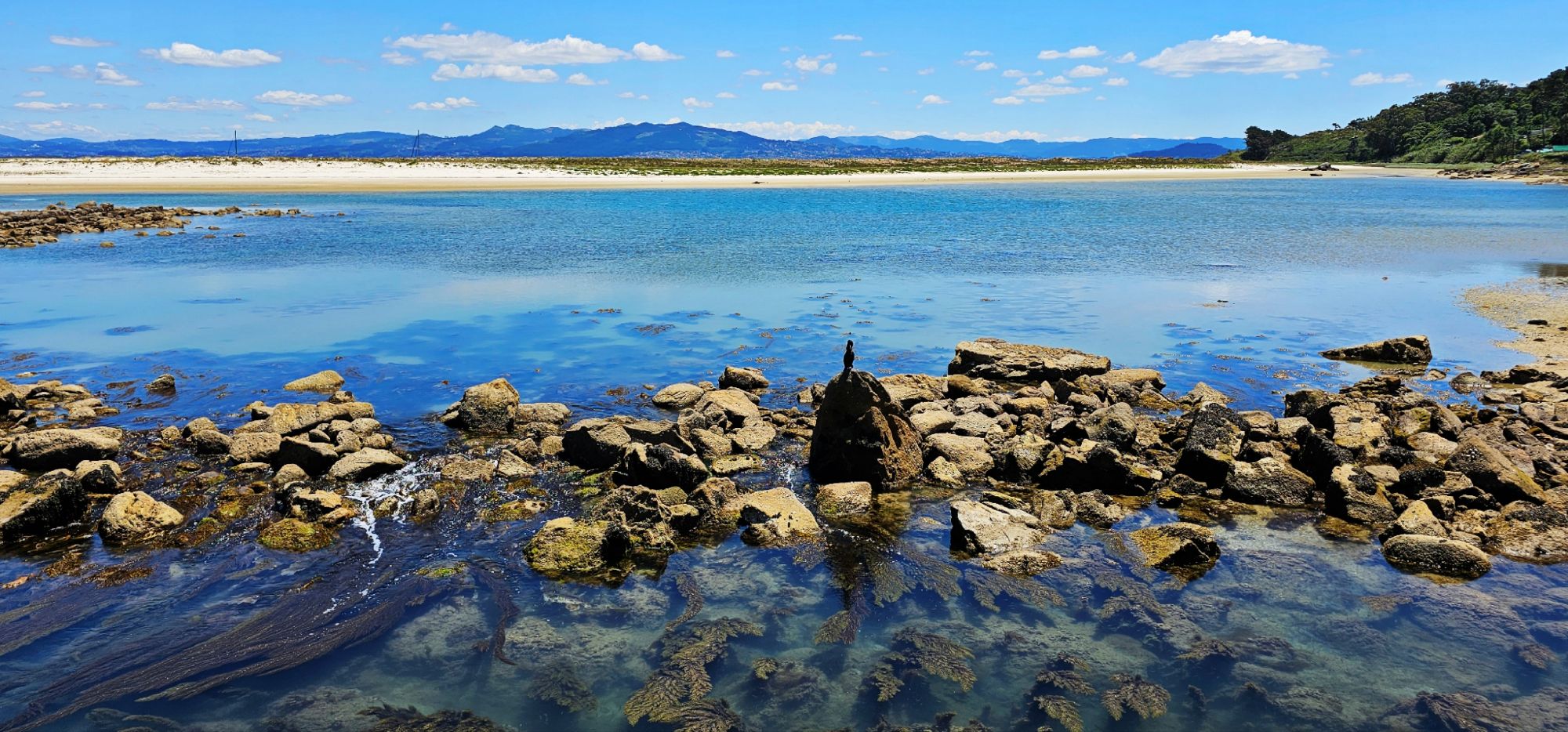 Qué ver y hacer en las Islas Cíes.Si alguna vez has soñado con viajar a un rincón del mundo donde la naturaleza sigue siendo la protagonista, las Islas Cíes son el destino perfecto. Ubicadas en la ría de Vigo, en Galicia, este pequeño archipiélago forma parte del Parque Nacional Marítimo-Terrestre de las Islas Atlánticas y es uno de los pocos lugares vírgenes que quedan en el mundo. Hoy quiero compartir contigo mi experiencia explorando este paraíso natural y todo lo que necesitas saber antes de visitarlo. Guía de Mototurismo Pontevedra, Galicia | SUKI ON THE ROAD