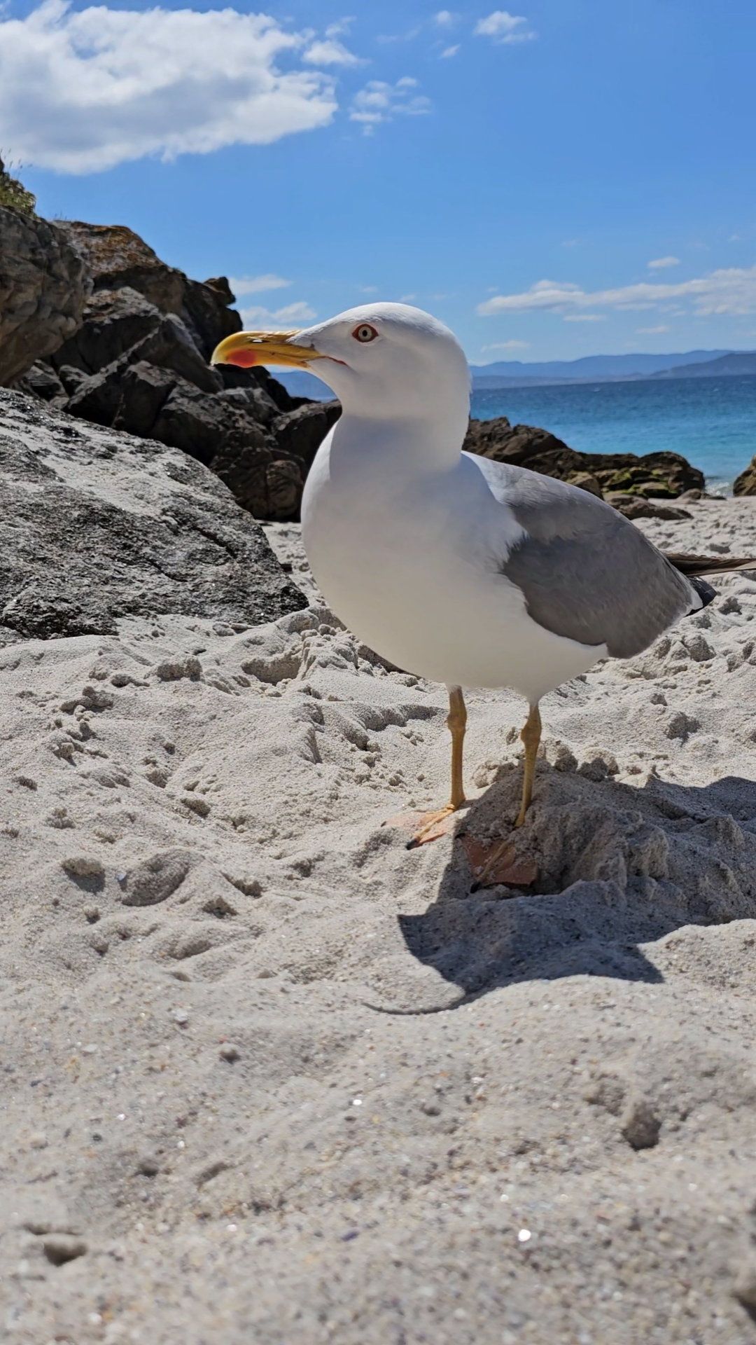 Islas Cíes SUKI ON THE ROAD