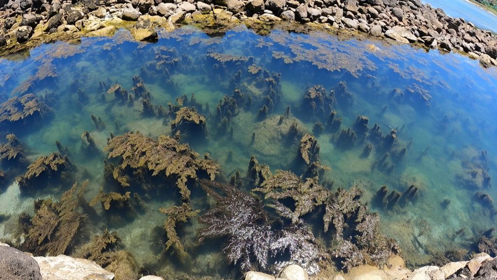 Qué ver y hacer en las Islas Cíes.Si alguna vez has soñado con viajar a un rincón del mundo donde la naturaleza sigue siendo la protagonista, las Islas Cíes son el destino perfecto. Ubicadas en la ría de Vigo, en Galicia, este pequeño archipiélago forma parte del Parque Nacional Marítimo-Terrestre de las Islas Atlánticas y es uno de los pocos lugares vírgenes que quedan en el mundo. Hoy quiero compartir contigo mi experiencia explorando este paraíso natural y todo lo que necesitas saber antes de visitarlo. Guía de Mototurismo Pontevedra, Galicia | SUKI ON THE ROAD