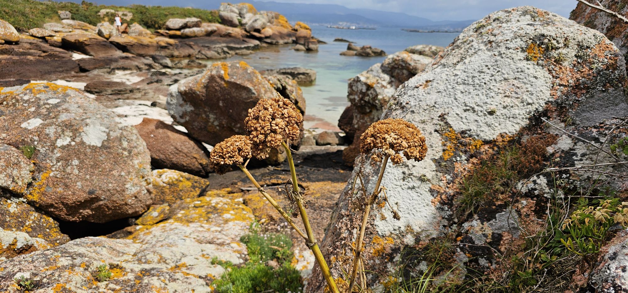 Isla de Arosa / Illa de Arousa.
Si buscas un destino tranquilo, con playas de aguas cristalinas, paisajes de ensueño y una fuerte identidad marinera, la Isla de Arosa es una joya escondida en las Rías Baixas gallegas. Este rincón de Pontevedra es ideal para los amantes de la naturaleza, la gastronomía y el descanso frente al mar. Guía de Mototurismo Pontevedra, Galicia | SUKI ON THE ROAD