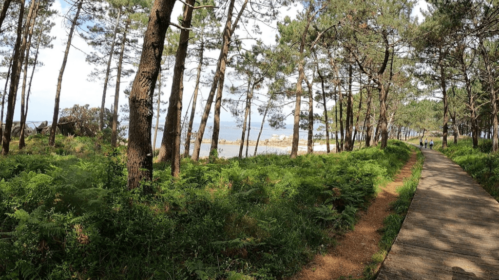Isla de Arosa / Illa de Arousa.
Si buscas un destino tranquilo, con playas de aguas cristalinas, paisajes de ensueño y una fuerte identidad marinera, la Isla de Arosa es una joya escondida en las Rías Baixas gallegas. Este rincón de Pontevedra es ideal para los amantes de la naturaleza, la gastronomía y el descanso frente al mar. Guía de Mototurismo Pontevedra, Galicia | SUKI ON THE ROAD