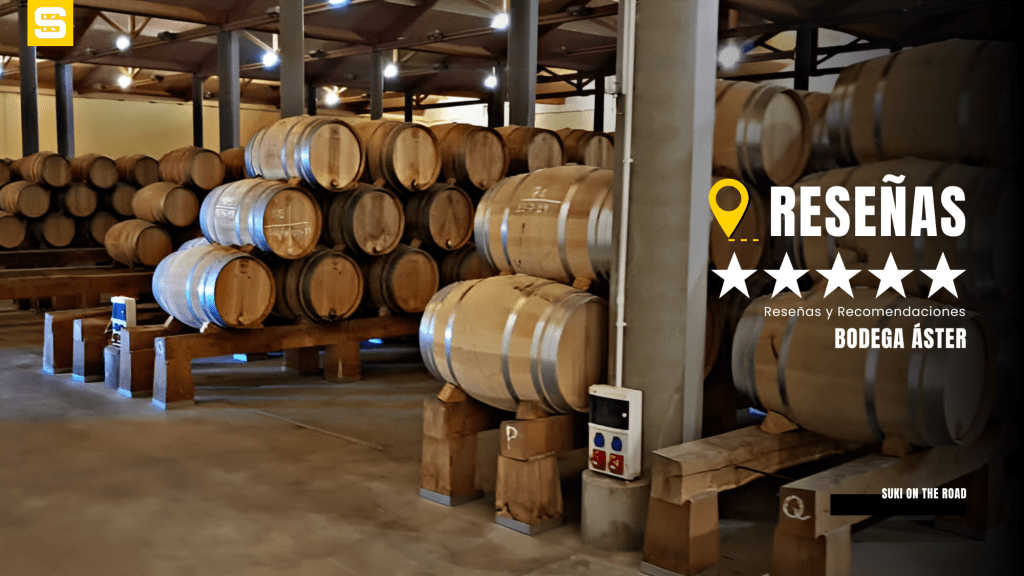 Enoturismo: Ruta del vino, Bodega Áster y el arte de saborear la Ribera del&nbsp;Duero