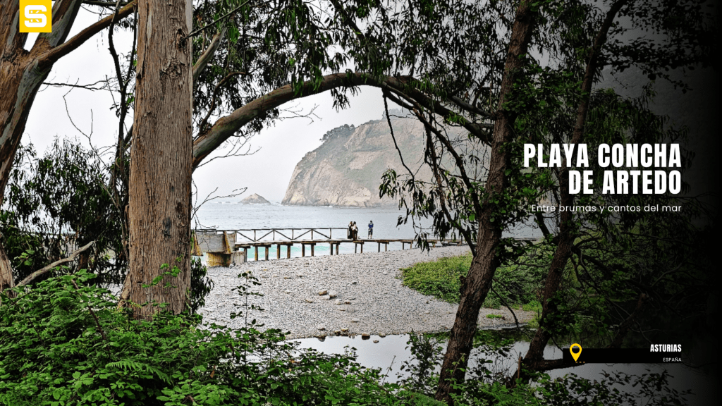 Concha de Artedo, entre brumas y cantos del&nbsp;mar