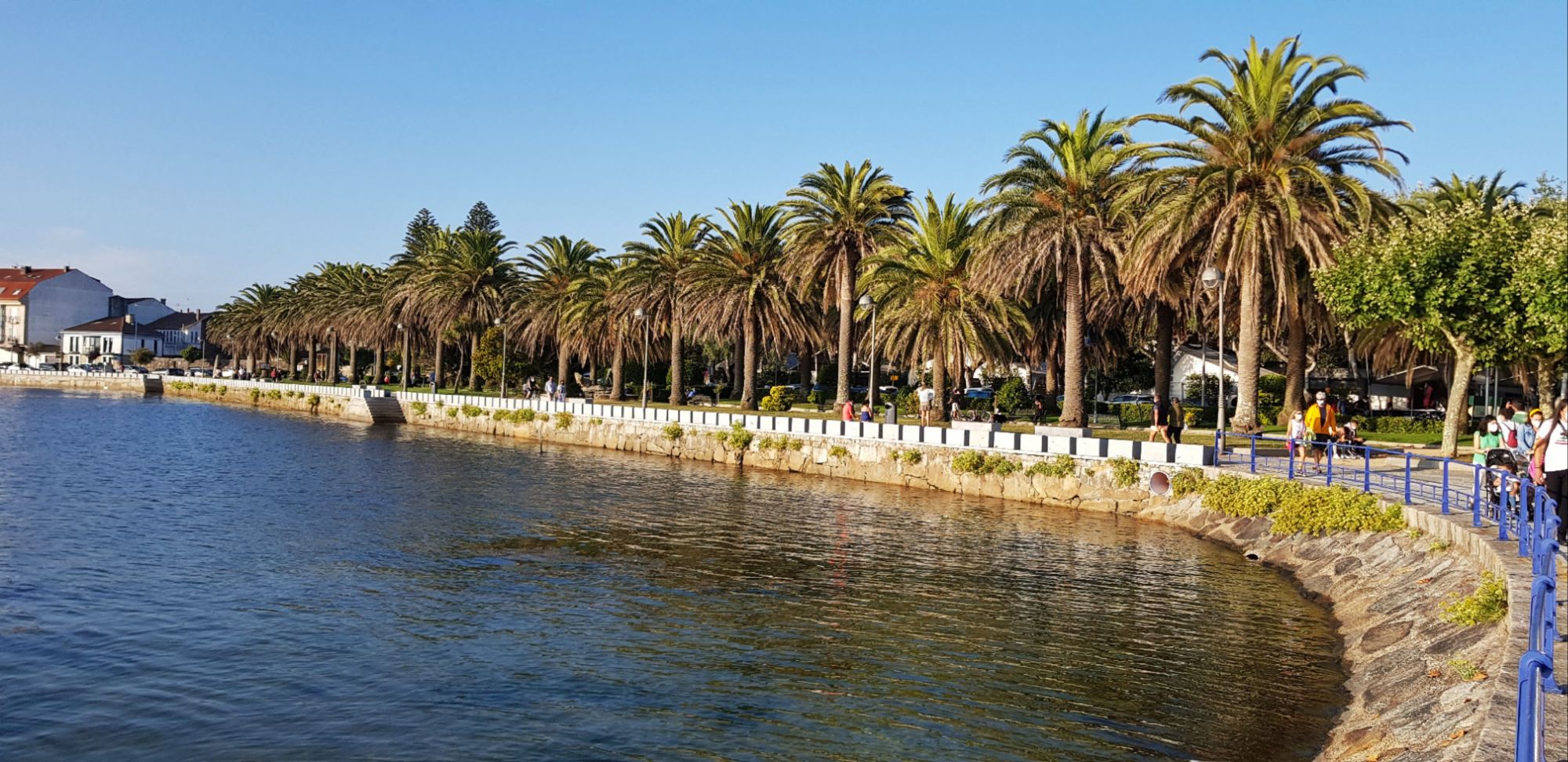 Cambados, qué ver y hacer en la capital del albariño: historia, gastronomía y rutas por Galicia