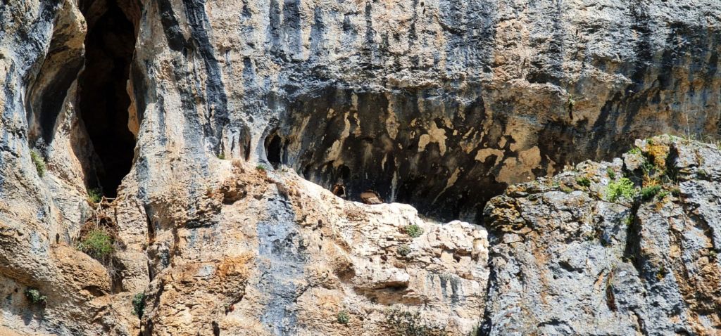Cañón del Río Lobos: misterio, naturaleza y legado templario en Soria