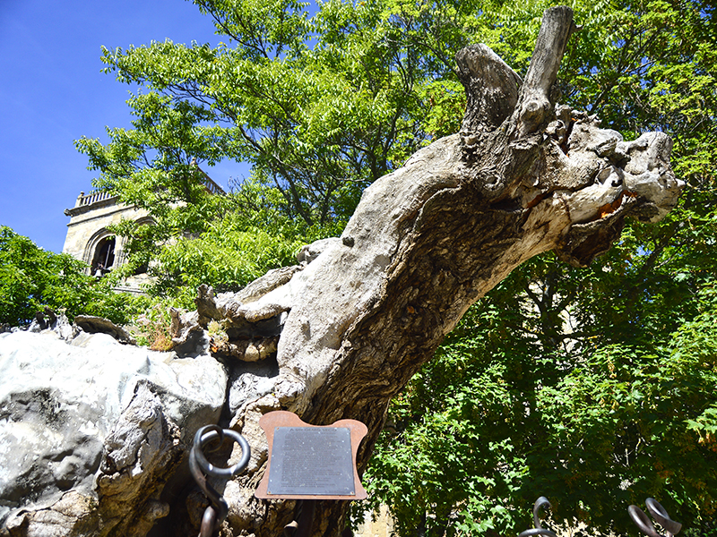 Tras los pasos de Machado en Soria: una ruta de versos y piedra