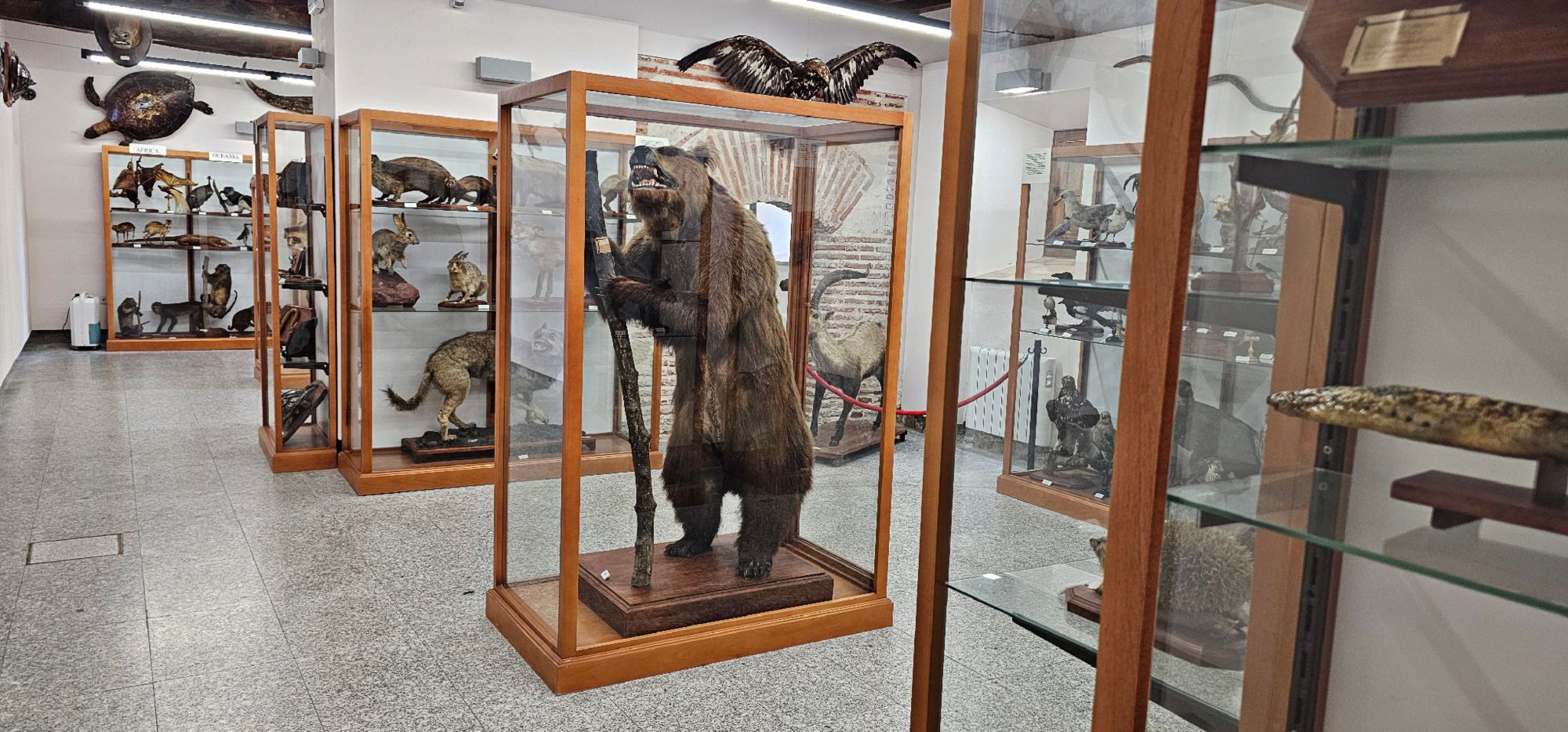 Real Monasterio de Santo Tomás de Ávila: historia, arte y silencio entre los muros del poder