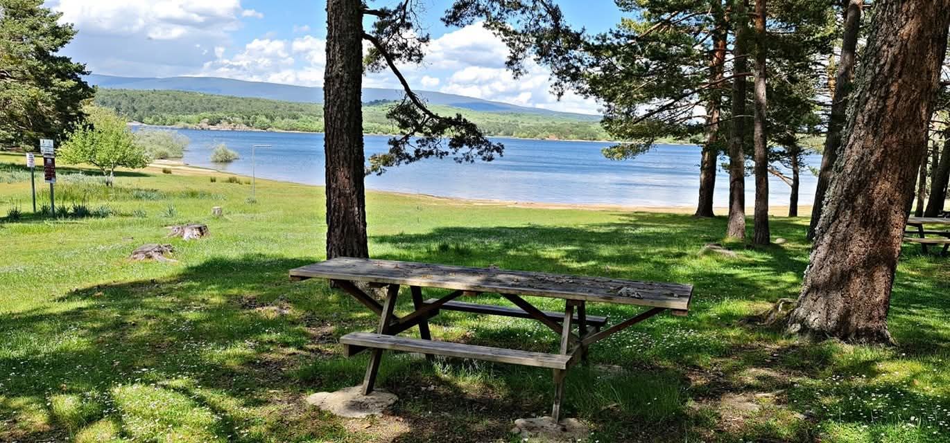 Qué ver en la naturaleza de Soria: 10 paisajes imprescindibles, mapa, rutas, guía completa para descubrirla paso a paso